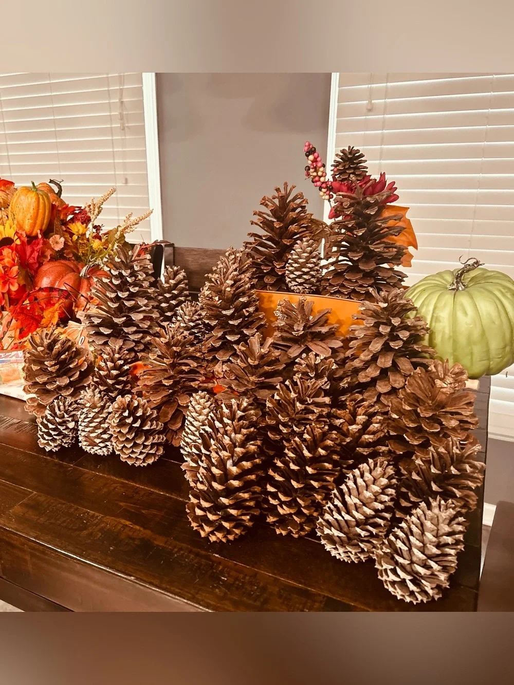 Natural Brown Pinecone bundle 16 piece